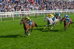 220825-Race 5-Cape Flora-7674