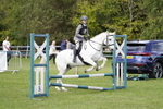 Showjumping portfolio