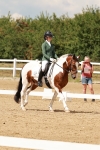 SBM_001981
