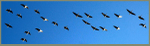Overhead