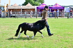 SBM_03478