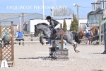 BPP_1612