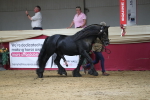 SBM_06523