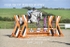 BPP_7818