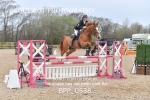 CLASS 4 FRI Senior Newcomers/ 1.10m Open portfolio