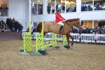 SBM_003766