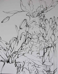 Study for yellow tulips