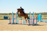 SBM_000194