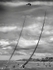 Kite Festival 001