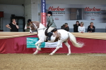 SBM_03683