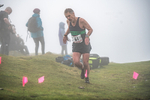 Wansfell-428