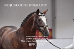 BPP_2857