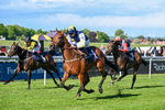 120526-Race 6-Ciao Capo-9233