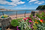 Lobster Pots and Flowers at Shaldon