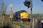 19th April 2007