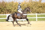 SBM_003547