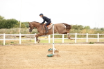 SBM_024037