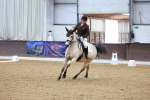 SBM_000237