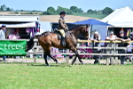 SBM_17449