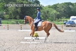 BPP_0811