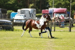 SBM_05466