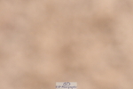 231217A-120627-00908