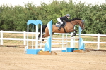 SBM_025462