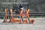 BPP_6955