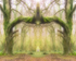 10th February Beech Elementals
