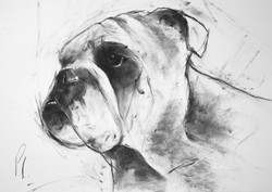 portrait commissions portfolio