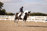 SBM_08088