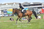 BPP_7252