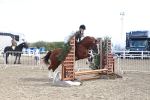 SBM_12234
