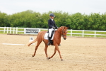 SBM_005206