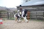 SBM_008021