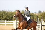 SBM_03996