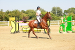 SBM_002234