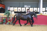 SBM_16593