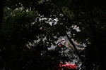 FOM_4074