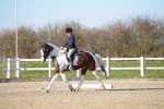 SBM_004388