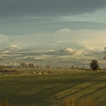Long Shadows, Eden Valley