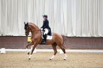 Class 13 - FEI PSG Gold - 10.36-11.50 portfolio