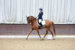 SBM_025815