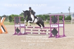 BPP_6111