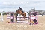 BPP_3560