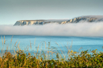 z3473 Tennyson Fog