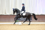 SBM_003929