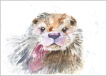 Otter Limited Edition Print 419