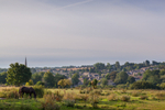 Burford 27
