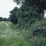 Fish's Lane